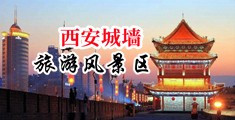 三级片真视频尻屄中国陕西-西安城墙旅游风景区