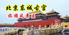 插骚女中国北京-东城古宫旅游风景区